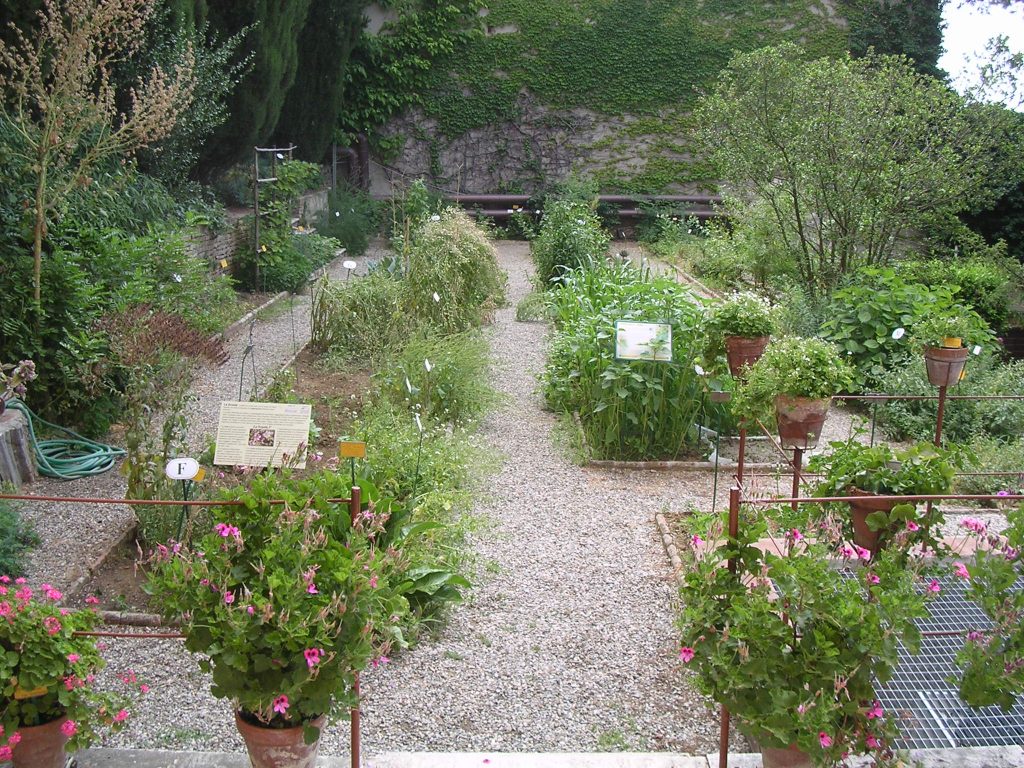 Alla Scoperta Dell'Orto Botanico E Dell’Erbario Dell'Università Di Siena