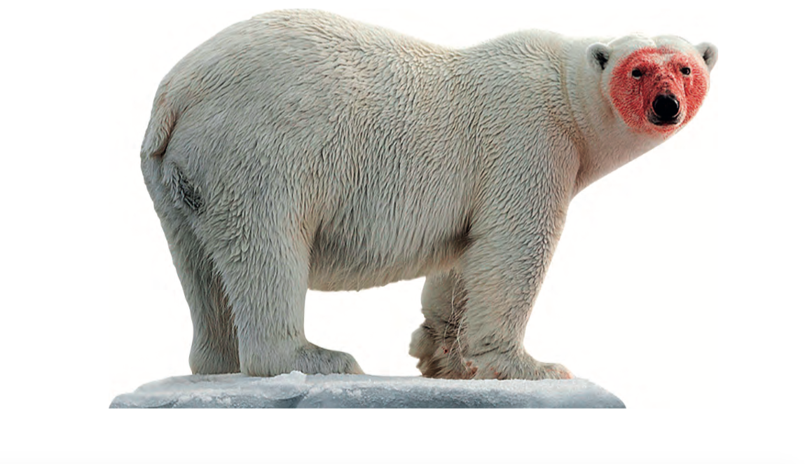 Katja Novitskova Approximation (polar bear), 2017 stampa digitale su alluminio, cutout, plexiglass, 148 x 226 x 38 cm Torino, Collezione Sandretto Re Rebaudengo