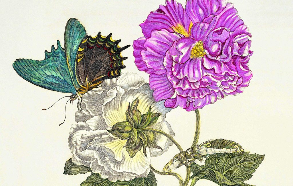 l'arte botanica nei secoli
