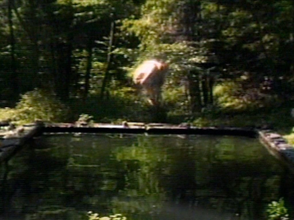 Bill Viola The Reflecting Pool, 1977–9 Videotape, color, mono sound Projected image size: 213,5x160 7 minutes Performer: Bill Viola Photo: Kira Perov © Bill Viola Studio