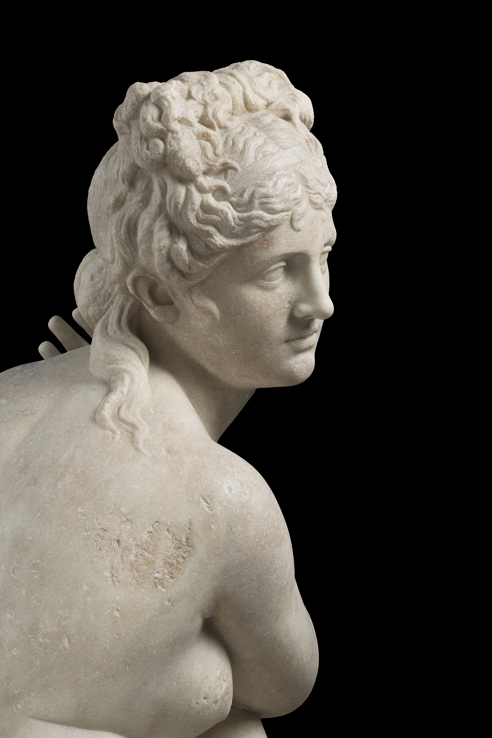Collezione Torlonia_Statua di Afrodite accovacciata_dettaglio ©FondazioneTorlonia Foto Lorenzo De Masi.jpg