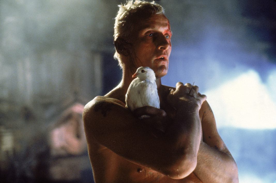 Blade Runner (USA, 1982) di Ridley Scott. Courtesy Warner Bros – Park Circus