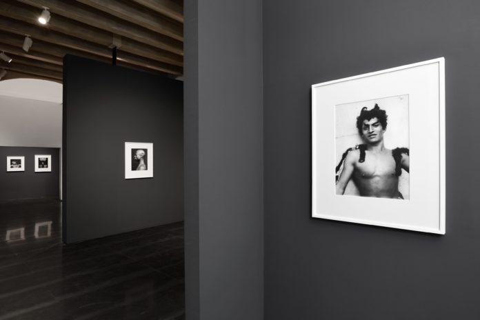 Beauty and Desire, Installation view, Ph. Michele Alberto Sereni, courtesy Museo Novecento Firenze, The Robert Mapplethorpe Foundation New York, Archivi Alinari - Archivio von Gloeden Firenze