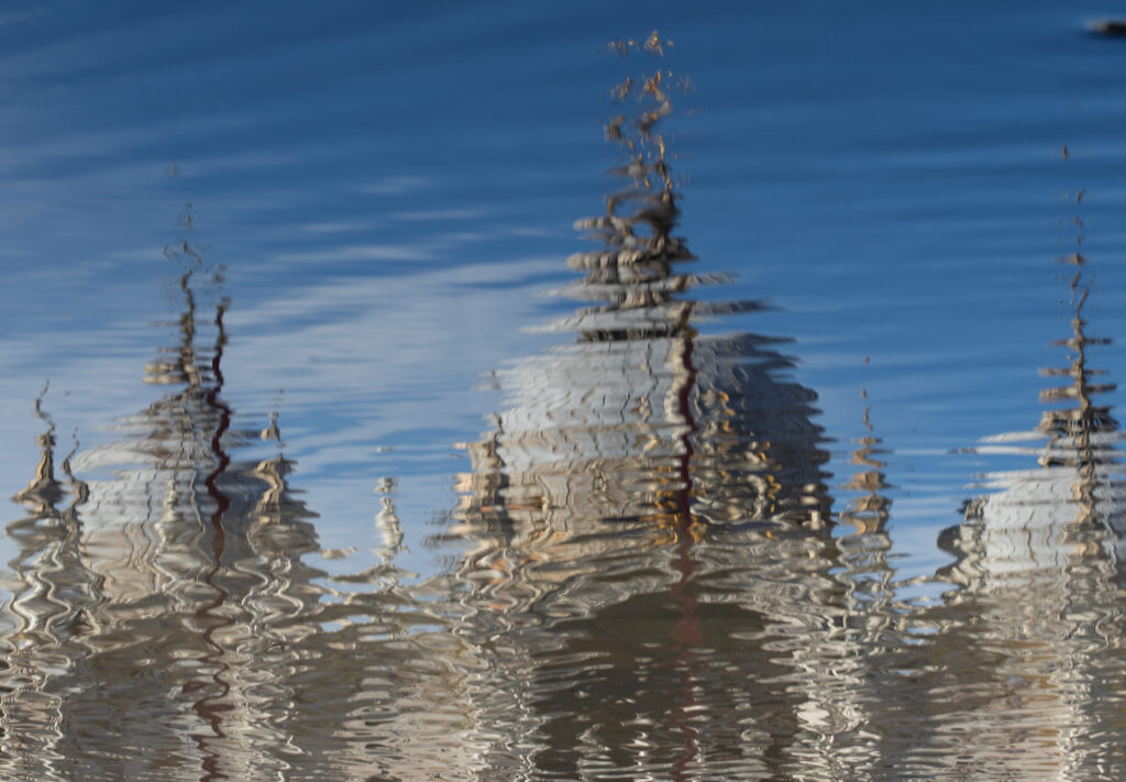 "Re-Emerging Venezia" V.Masferrer-Oliveira, Sognavamo così, La Basilica da Dea della Laguna