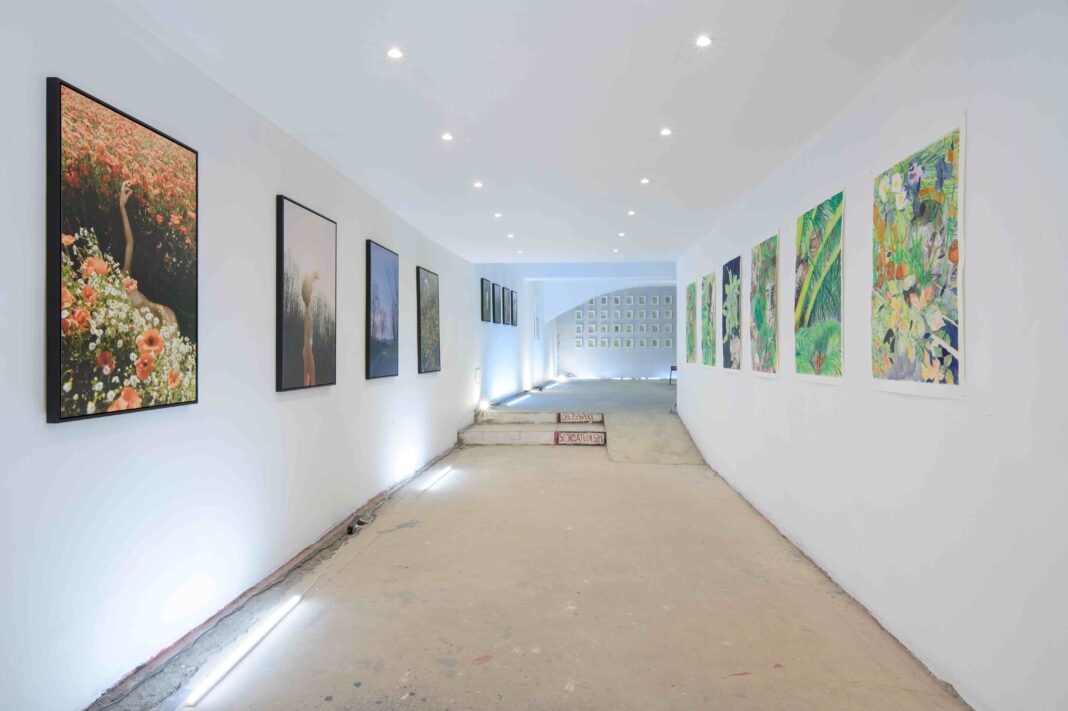 Trasfigurazioni Umane: le opere di Federico Masini e Aldo Dolcetti al Contemporary/Space “Macario” di Artàporter a Torino