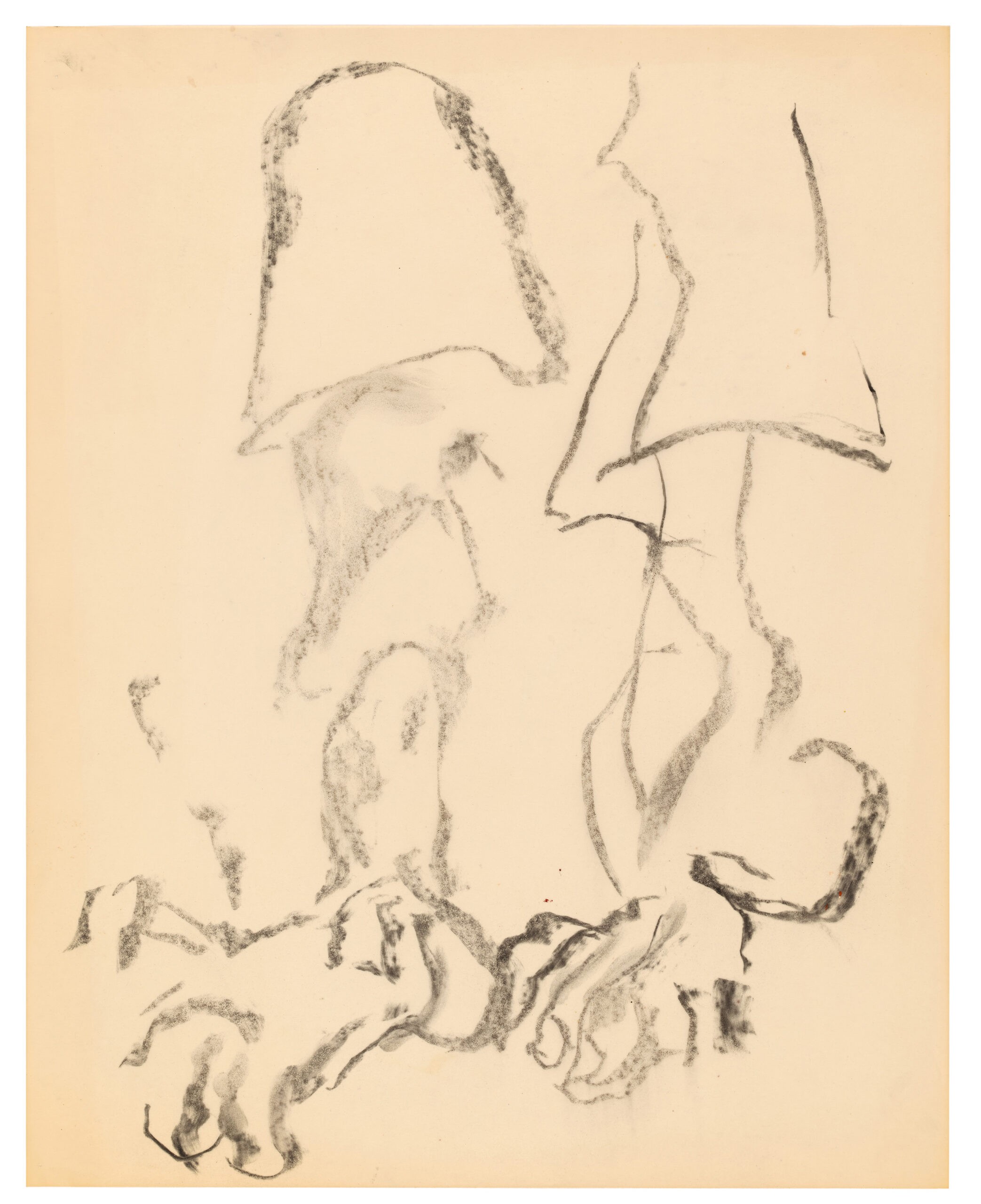 Willem de Kooning<no title>, c.1975-80 carboncino su pergamena 60.3 x 47.6 cm Collezione privata © 2024 The Willem de Kooning Foundation, SIAE