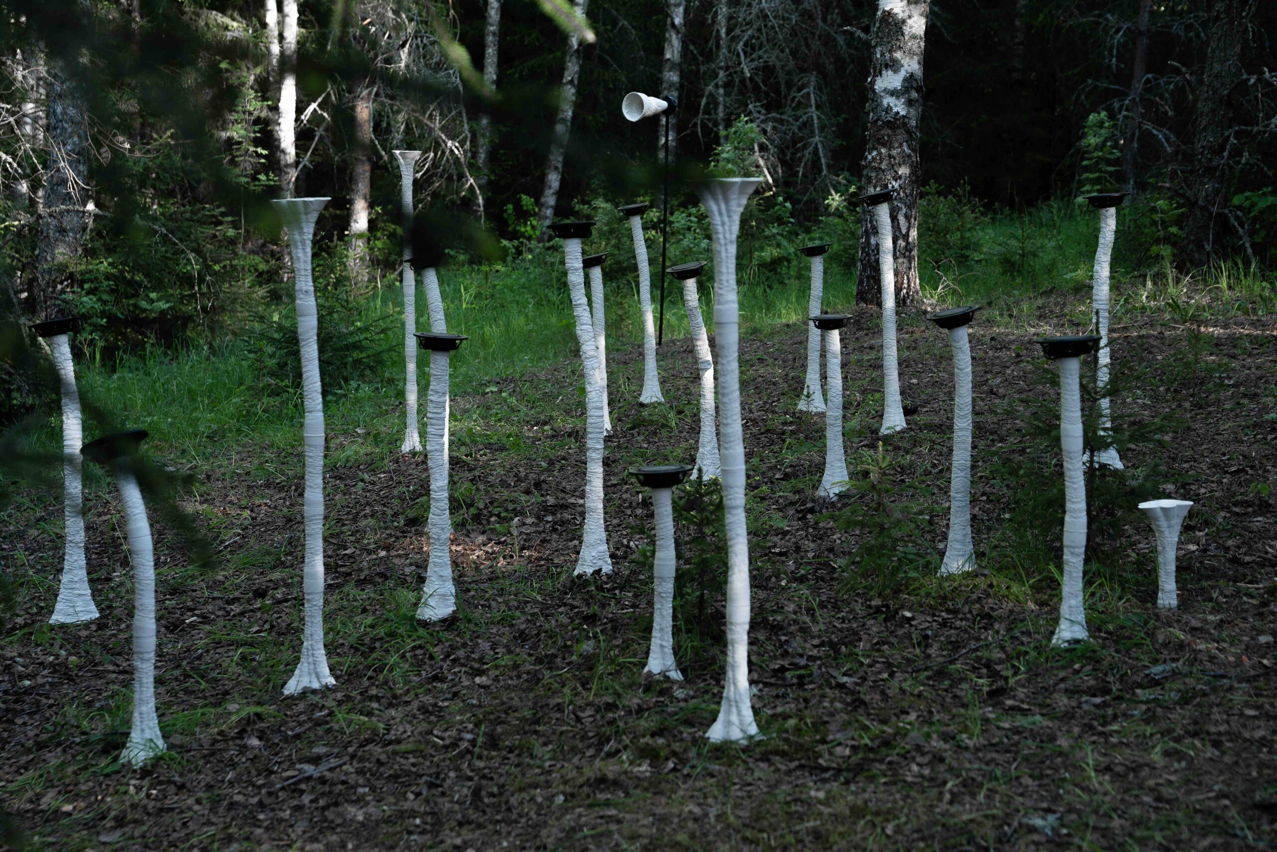 Marco Barotti, FUNGI. Armonie Simbiotiche