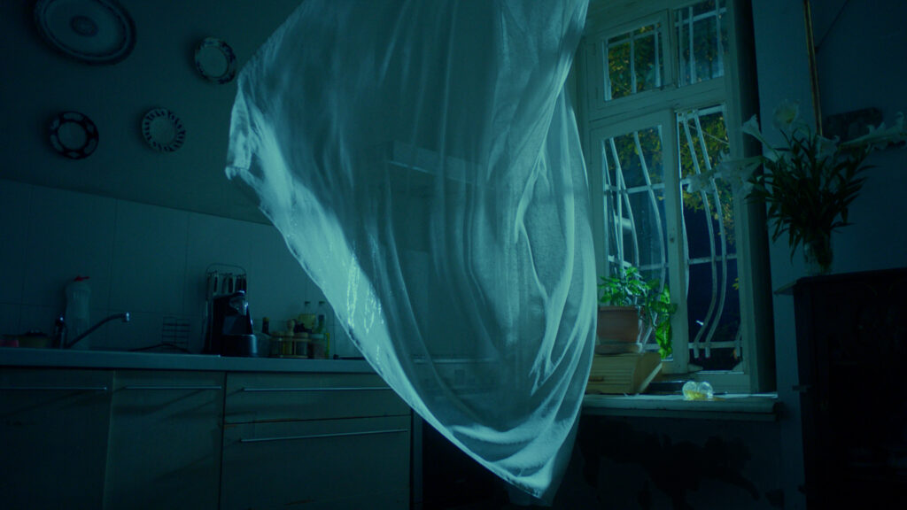 Andro Eradze, Flowering and Fading, 2024 single-channel video, color, sound, 16’ LED wall size: cm 250 x 450 Prodotto da Lo schermo dell’arte con Fondazione In Between Art Film nel contesto di VISIO Production Fund initiative. Courtesy l’artista; Lo schermo dell’arte; Fondazione In Between Art Film; e SpazioA, Pistoia Produced by Lo schermo dell’arte with Fondazione In Between Art Film within VISIO Production Fund initiative. Courtesy of the artist; Lo schermo dell’arte; Fondazione In Between Art Film; and SpazioA, Pistoia