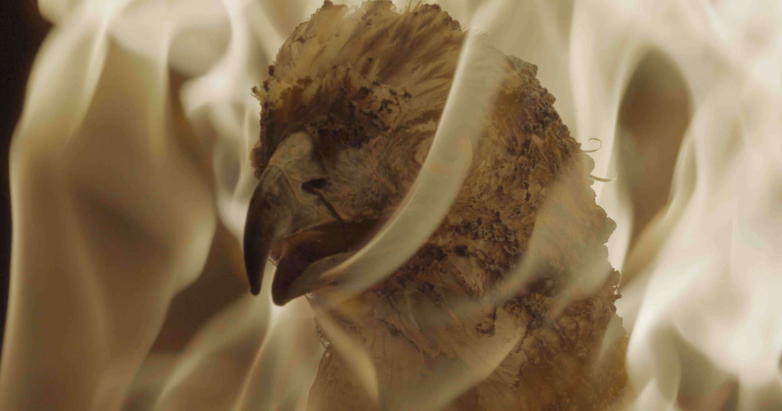 Andro Eradze, Ghost Carriers, 2025 film still, 05:00 min; 4KCourtesy l‘artista e SpazioA, Pistoia Courtesy the artist and SpazioA, Pistoia