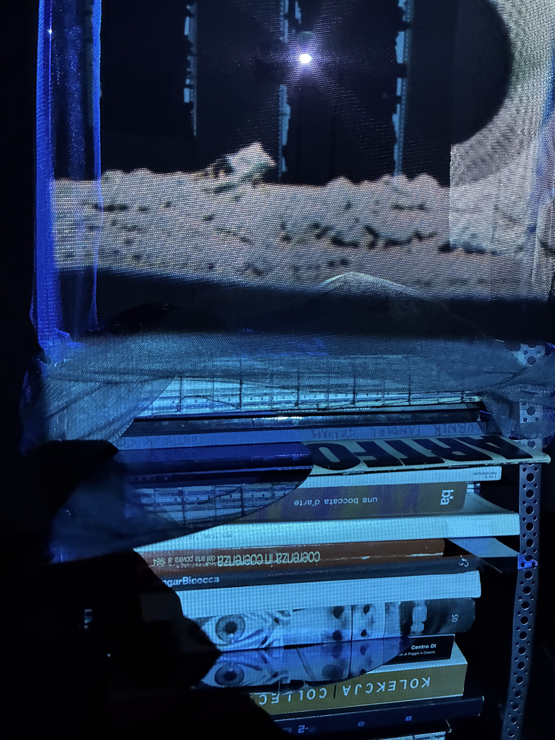 Meaningfool di Nick LanducciArchivio Viafarini, Fabbrica del Vapore – Milano
A cura di Giulio Verago