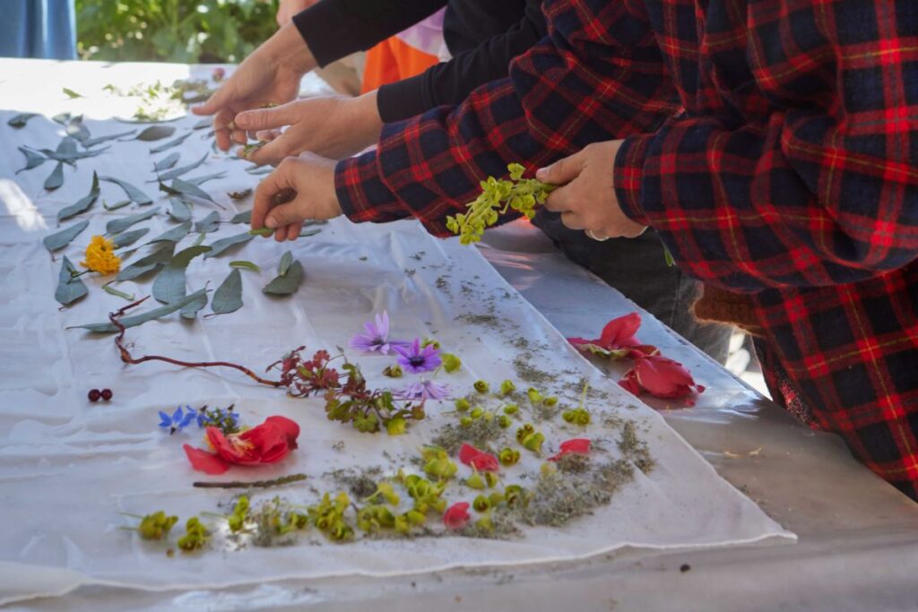 Chiara Camoni, Carta Bianca 2025, vegetal printing workshop. Ph Camilla Maria Santini