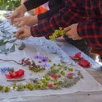 Chiara Camoni, Carta Bianca 2025, vegetal printing workshop. Ph Camilla Maria Santini